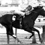 Maryland Million rewind: Jonesin for Jerry