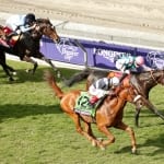 Stewards: What happens at the gate stays at the gate