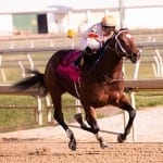 Lightly raced Charmed Victory still heading upward