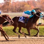 Cinco Charlie delivers the goods in James Lewis win