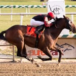 Zee Bros delivers De Francis Dash shocker