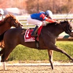 Stormin Monarcho takes accident-marred Richard W. Small Stakes