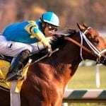 Zee Bros delivers De Francis Dash shocker