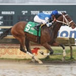 On tap: Weekend stakes