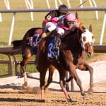 Deep field heads Willa on the Move Stakes