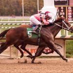 Fasig-Tipton Mixed Sale Guide available