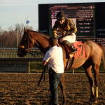 Laurel Park stakes slated for Thursday