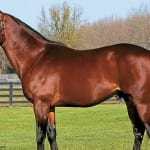 Md. Racing Commission pumps brakes on “house rules”