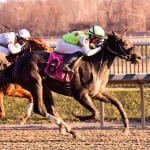 On tap: Juveniles and more