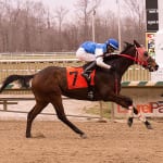 Fasig-Tipton Mixed Sale Guide available