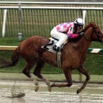 Fasig-Tipton: A tale of two dispersals