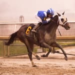 Star Pearl draws off to Nellie Morse triumph