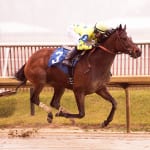 Elnaawi aces his Native Dancer test