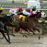 Laurel Park stall construction underway