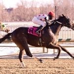 No equine medical director? It’s enough to make you BRFA