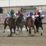 Nine to contest White Clay Creek