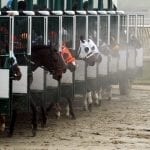 Sabrina Moore: Love of horses “can take you pretty far”