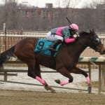 Local runner Brenda’s Way tackles graded foes in DuPont