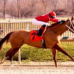 New Rainbow 6 to debut at Pimlico