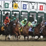Eclipse Award finalists announced