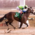 Bug Caitlyn Stoddard wins on first-ever mount
