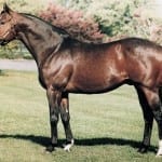 Pennsylvania stallion Wiseman’s Ferry dies