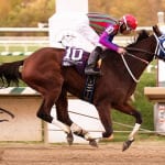 By the Moon looks to shine in Caesar’s Wish