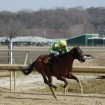 Joe Bravo, grinding towards milestone win