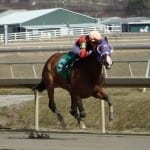 Page McKenney romps in Harrison Johnson