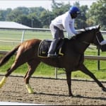 February handle slips after tough weather