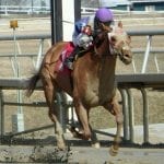 Top Midlantic-bred Poll leaders in action this weekend