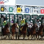 Stakes winner Naughty Thoughts back in action