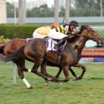 Noteworthy Peach looks to step it up in Tesio