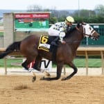 Laurel Park December stakes wagering guide released