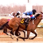 Control Stake looks to take Robert Hilton Memorial