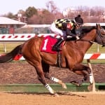 NTRA Top Thoroughbred Polls for April 6