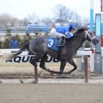 Ben’s Cat 2nd in season debut