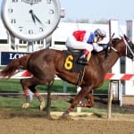 Firing Line “really well” in Derby aftermath