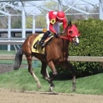Preakness notes: Preparations and decisions