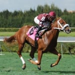 Stablemates clash in Dahlia Stakes at Pimlico