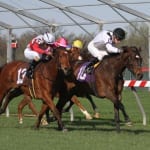 Talk Show Man punches likely Dixie ticket with Clark score