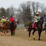 Looking for value sires in the Mid-Atlantic