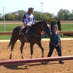 Brenda’s Way scores easily in Geisha