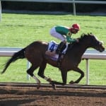 April in Mid-Atlantic Thoroughbred
