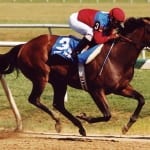 Fasig-Tipton to move mixed sale to ’16