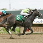On tap: Weekend stakes