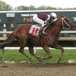 Shore Bets: July 11