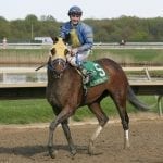 Delaware Park horses to watch: June 10