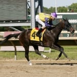 Main Sequence to defend United Nations title