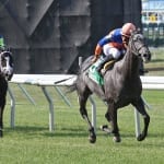 Donita’s Ruler upsets My Juliet Stakes